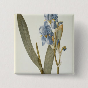 Iris Pallida uit "Les Liliacees", 1812 Vierkante Button 5,1 Cm