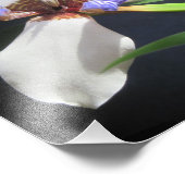 Iris Photo Print Foto Afdruk (Hoek)