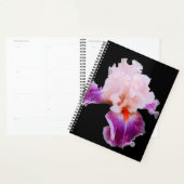 Iris Planner (Display)