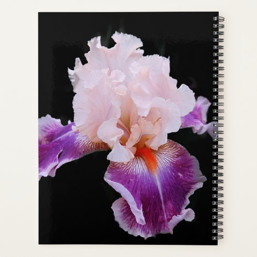 Iris Planner (Achterkant)