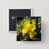 Iris-Plant voor gele bloei, Vierkante Button 5,1 Cm (Voorkant /achterkant)