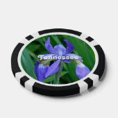 Iris Pokerchips (Enkel)