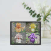 Iris Post Card Briefkaart (Staand voorkant)