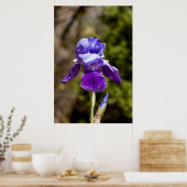 Iris Poster (Keuken)