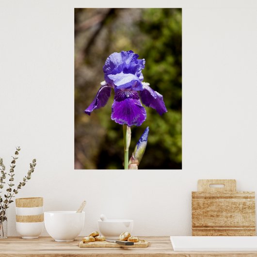 Iris Poster (Keuken)