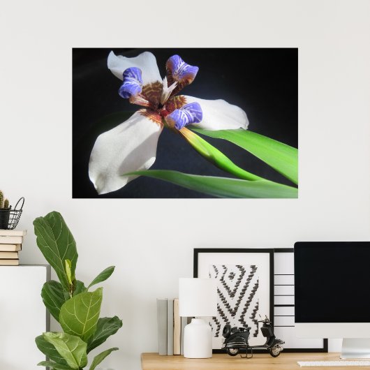 Iris Poster (Thuiskantoor)