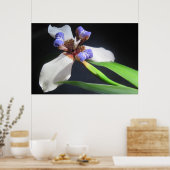 Iris Poster (Keuken)