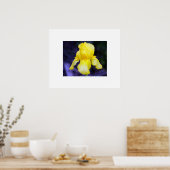 Iris Poster (Keuken)