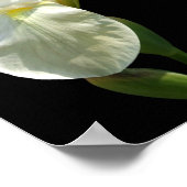 Iris Poster (Hoek)