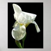 Iris Poster (Voorkant)