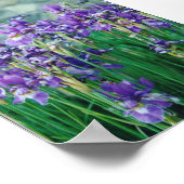 Iris Poster (Hoek)