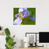 Iris Poster (Thuiskantoor)