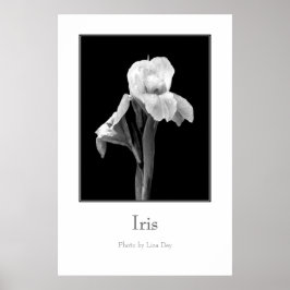 'Iris'-poster Poster