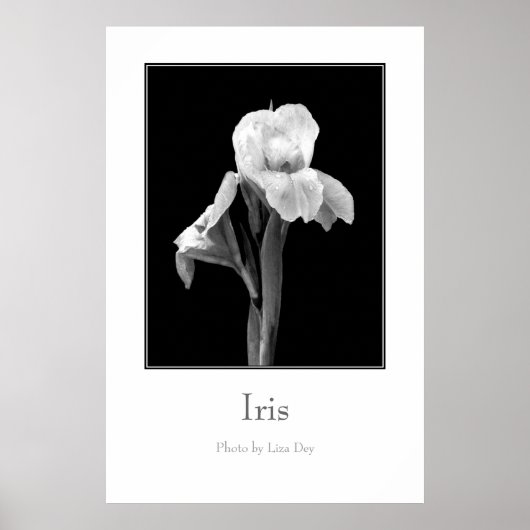 'Iris'-poster Poster (Voorkant)
