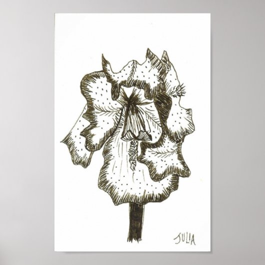 Iris Print (Voorkant)