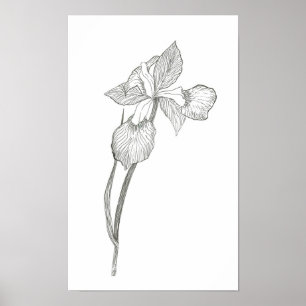 Iris Print