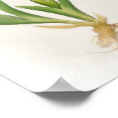 Iris Pumila Floral Print (Hoek)