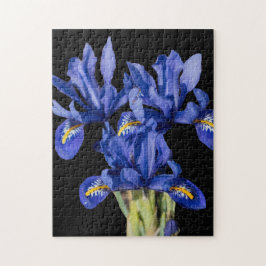 Iris Puzzle Legpuzzel