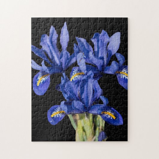 Iris Puzzle Legpuzzel (Verticaal)