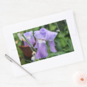 Iris. Rechthoekige Sticker (Envelop)