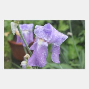 Iris. Rechthoekige Sticker