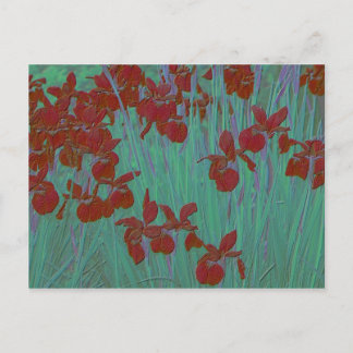 Iris red briefkaart