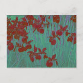 Iris red briefkaart (Voorkant)