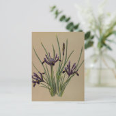 Iris Reticulata door Arentina Hendrica Arendsen Briefkaart (Staand voorkant)