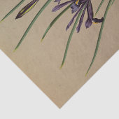 Iris Reticulata door Arentina Hendrica Arendsen Tissuepapier (Detail)