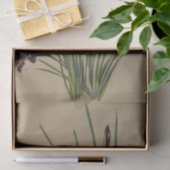 Iris Reticulata door Arentina Hendrica Arendsen Tissuepapier (Geschenk)