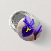 Iris Reticulata Flower Badge Ronde Button 3,2 Cm (Voorkant /achterkant)