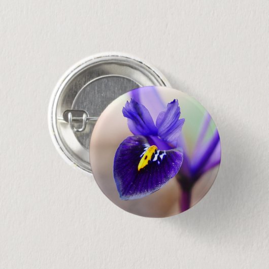 Iris Reticulata Flower Badge Ronde Button 3,2 Cm (Voorkant /achterkant)