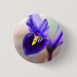 Iris Reticulata Flower Badge Ronde Button 3,2 Cm