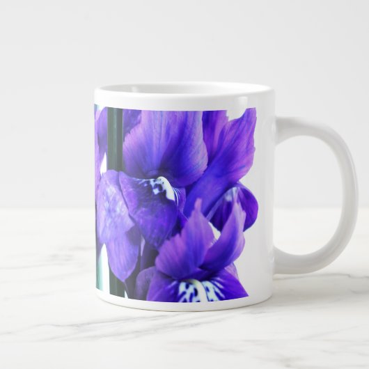 Iris Reticulata Jumbo Mok (Rechts)