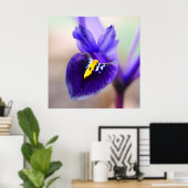 Iris Reticulata Poster (Thuiskantoor)