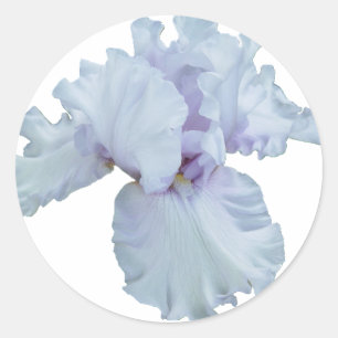 Iris Ronde Sticker