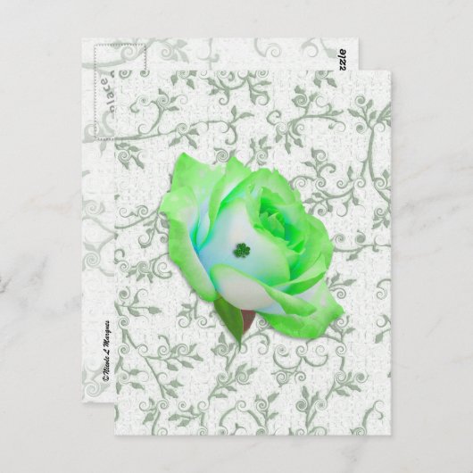 Iris Roos en Shamrock! Briefkaart (Voorkant / Achterkant)