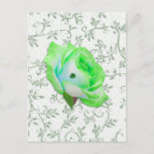 Iris Roos en Shamrock! Briefkaart (Voorkant)