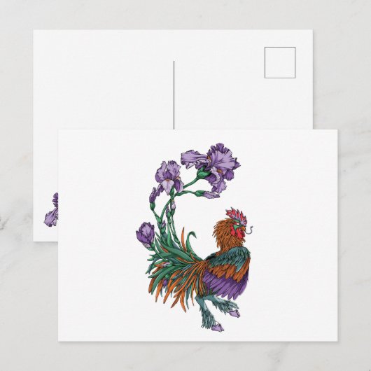 Iris Rooster Briefkaart (Voorkant / Achterkant)