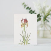 Iris Sari van William Dykes Briefkaart (Staand voorkant)