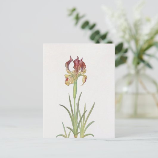 Iris Sari van William Dykes Briefkaart (Staand voorkant)