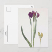 Iris Setosa van William Dykes Briefkaart (Voorkant / Achterkant)