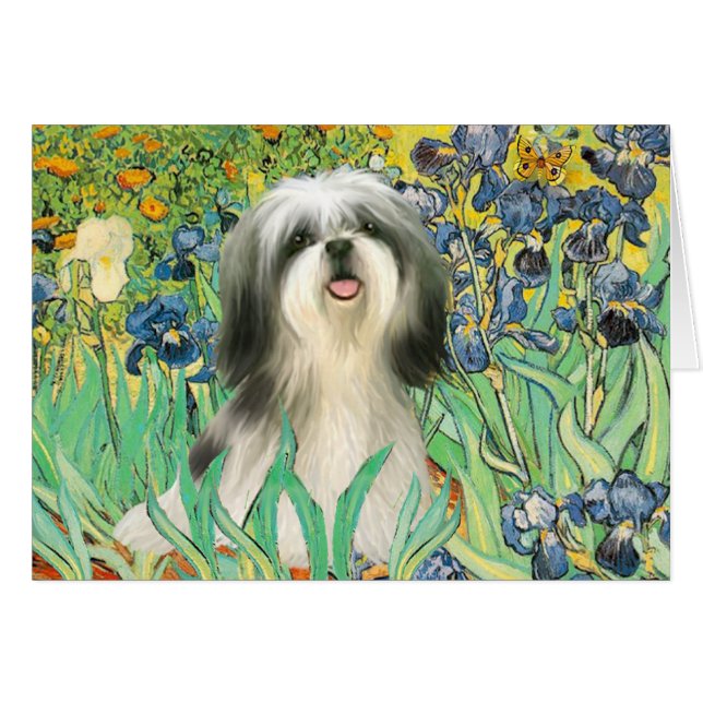 Iris - Shih Tzu (#3) (Voorkant Horizontaal)