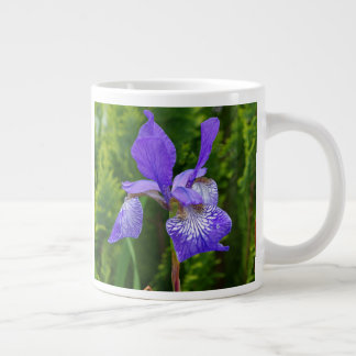 Iris sibirica bloemenfotografie  grote koffiekop
