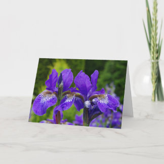 Iris sibirica bloemenfotografie kaart