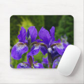 Iris sibirica bloemenfotografie muismat (Met muis)