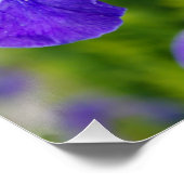Iris sibirica bloemenfotografie perfect poster (Hoek)