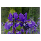 Iris sibirica bloemenfotografie  snijplank (Voorkant)