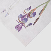 Iris Sibirica en Iris Orientalis door William Dyke Tissuepapier (Detail)