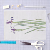 Iris Sintenisii en Iris Spuria door William Dykes Tissuepapier (Craft)
